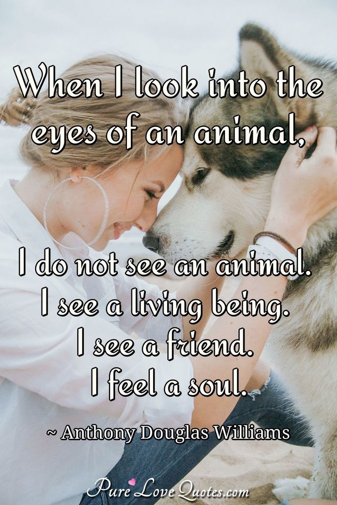 When I look into the eyes of an animal, I do not see an animal. I see a living being. I see a friend. I feel a soul. - Anthony Douglas Williams