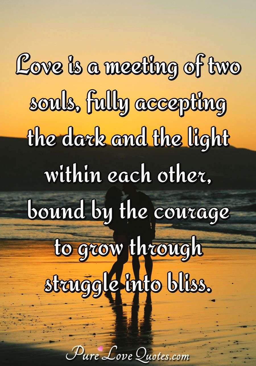 Love is a meeting of two souls, fully accepting the dark and the light within each other, bound by the courage to grow through struggle into bliss. - Anonymous