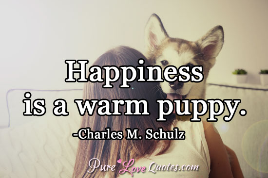 Happiness is a warm puppy.