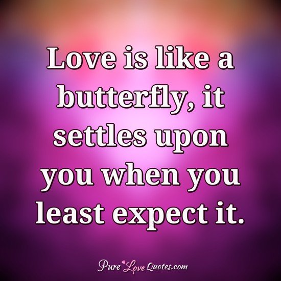 Love is like a butterfly, it settles upon you when you least expect it.