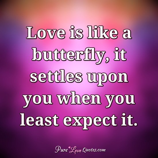 Love Is Like A Butterfly It Settles Upon You When You Least Expect It Purelovequotes