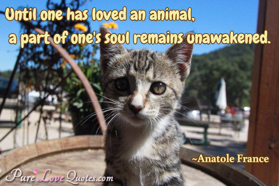 Until one has loved an animal, a part of one's soul 