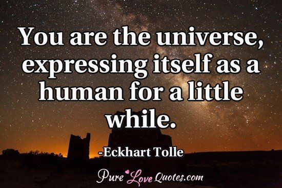 You are the universe, expressing itself as a human for a little while.