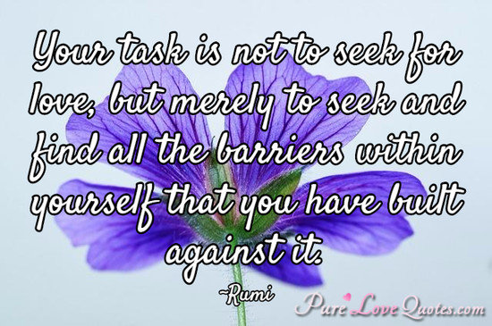 Your task is not to seek for love, but merely to seek and find all the barriers within yourself that you have built against it.