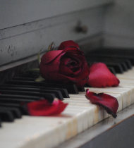 Lost Love Quotes Purelovequotes